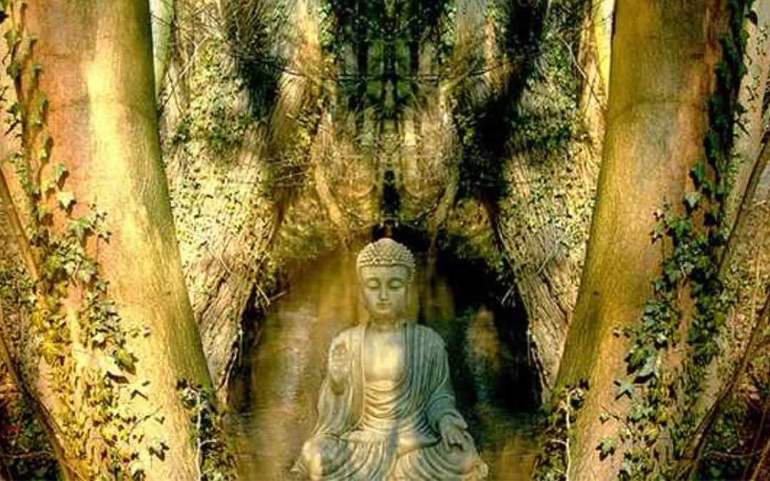 Healing From A Different Perspective