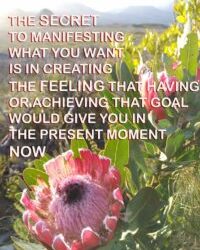 THE SECRET ART OF MANIFESTATION